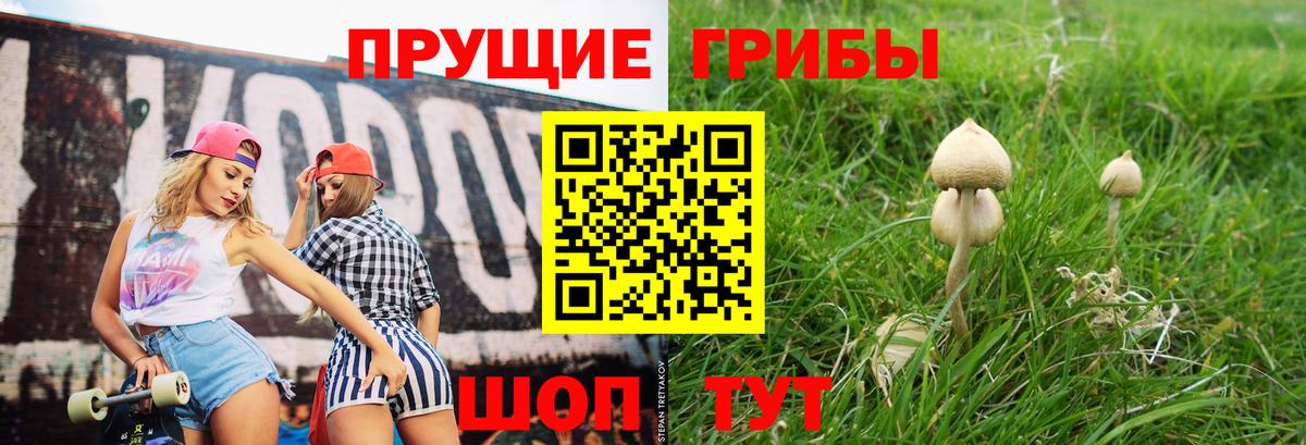 Псилоцибиновые грибы Psilocybe  Вход с VPN  Псилоцибиновые грибы Psilocybe  Нерюнгри 